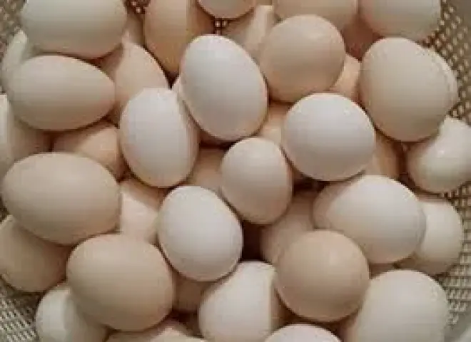 استقرار أسعار كرتونة البيض اليوم الأربعاء 29 - 4 - 2026