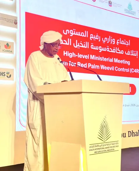 العربية للتنمية الزراعية تدعو لتعزيز جهود مكافحة سوسة النخيل الحمراء