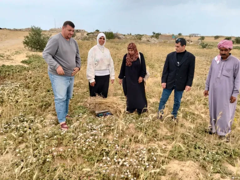 انطلاق فعاليات ”يوم حصاد الشعير” بقرية الخرافين في رفح