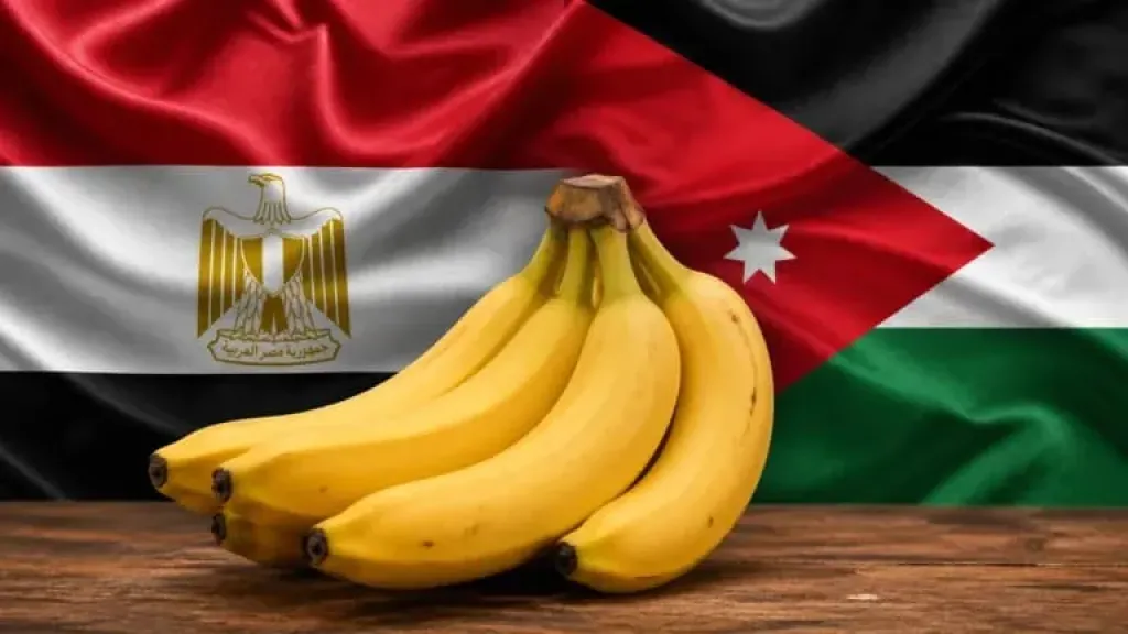 مصر تستعيد حصتها في سوق الموز الأردني بصادرات قياسية