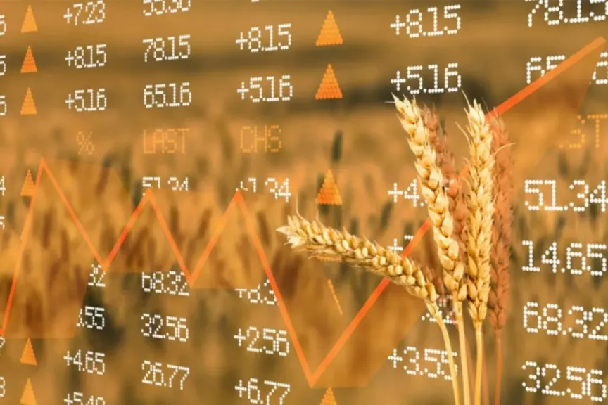 روسيا تسعى لزيادة صادرات الغذاء للإمارات وتروج لمنصة حبوب لدول بريكس