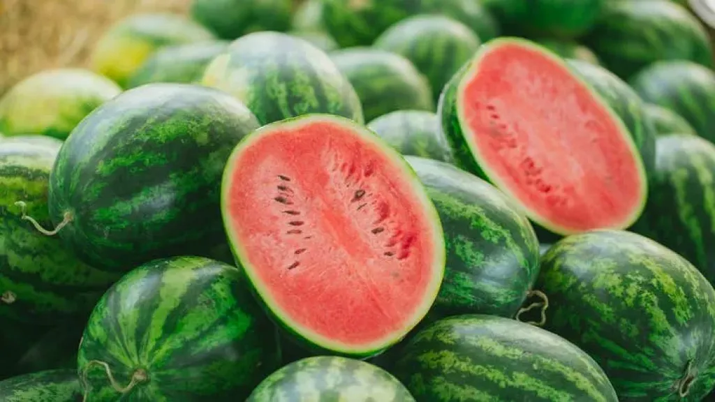 خبراء يكشفون أسباب اختلاف توقيت ظهور البطيخ بالأسواق