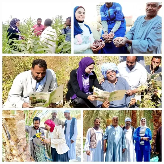 دور المهندس الزراعي الحيوي.. شراكة ميدانية مع الفلاحين