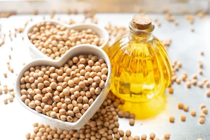 الهند تخفض واردات زيت النخيل بنسبة 27% وتتجه نحو البدائل