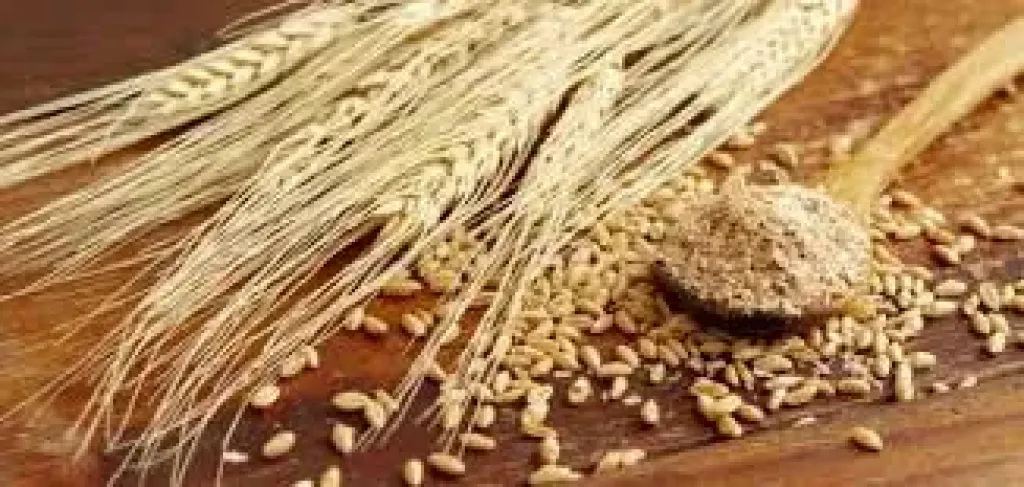 ارتفاع الطلب على ”دقيق الحبة الكاملة”