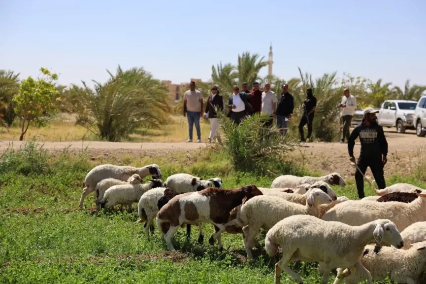 استثمارات بـ150 مليون جنيه تغير خريطة الزراعة في الوادي الجديد