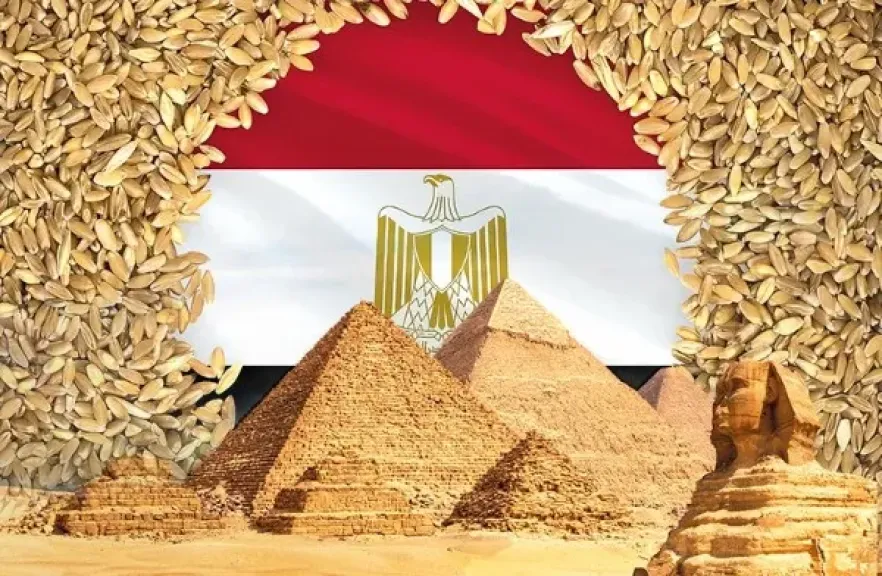 مصر تستهدف الاكتفاء الذاتي من قمح الخبز المدعم بحلول عام 2028