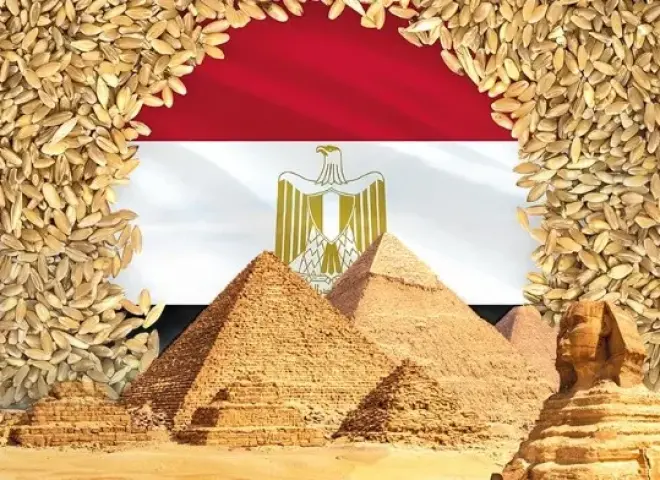 مصر تستهدف الاكتفاء الذاتي من قمح الخبز المدعم بحلول عام 2028