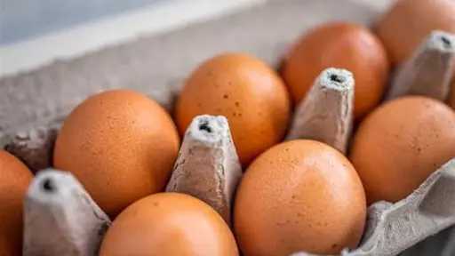 أسعار كرتونة البيض اليوم السبت 9 - 5 - 2026