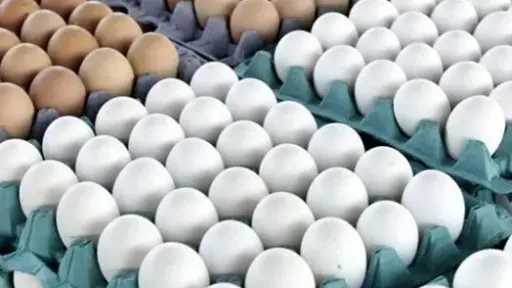 فتح السوق العراقي أمام بيض المائدة المصري