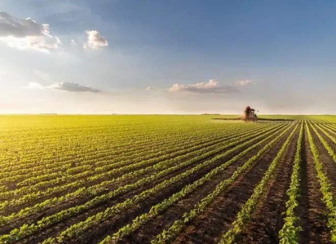 كيف تحمي محاصيلك من الحرارة المرتفعة؟.. خبير زراعي يجيب