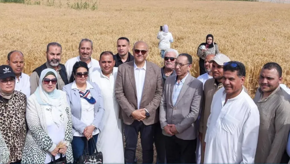 محافظ الإسكندرية يشارك المزارعين موسم حصاد ”الذهب الأصفر” لعام 2026