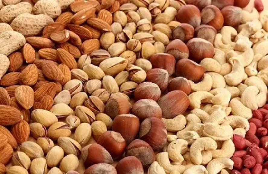 مصر تتوسع في زراعة محاصيل النقل لتعزيز الأمن الغذائي وتقليل الاستيراد