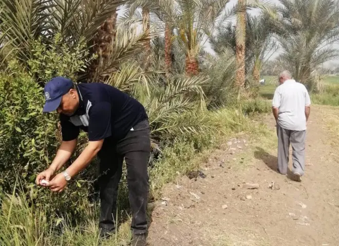 الزراعة تتابع ميدانيا أعمال الحملة القومية لمكافحة القوارض بالمحافظات