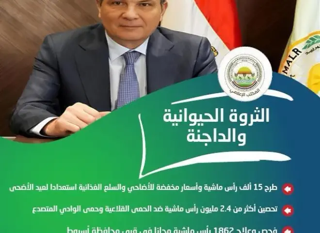 «الزراعة» خلال أسبوع: توفير اعتمادات مالية للبتلو و15 ألف رأس لـ عيد الأضحى