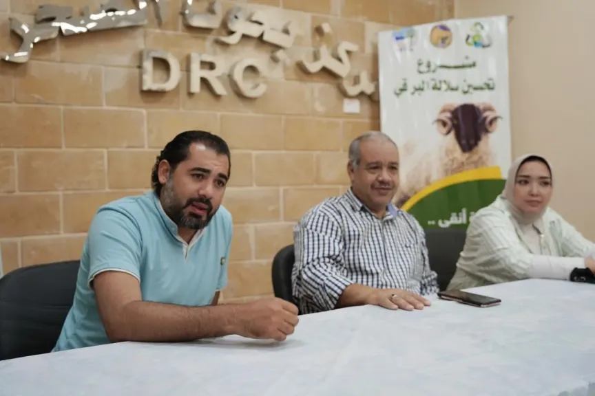 بحوث الصحراء يوزّع 30 كبشًا برقيًا محسّنًا وأعلافًا مجانية بسيوة