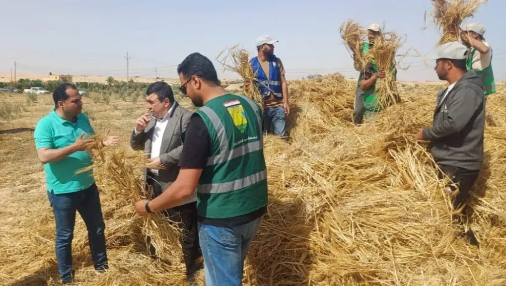 ”الزراعة” تتابع حصاد الشعير بشمال سيناء دعمًا للأمن الغذائي والمزارعين