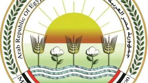 ”الزراعة” تصدر 15 نصيحة لتخفيف تأثير الحرارة على الثروة الحيوانية والداجنة