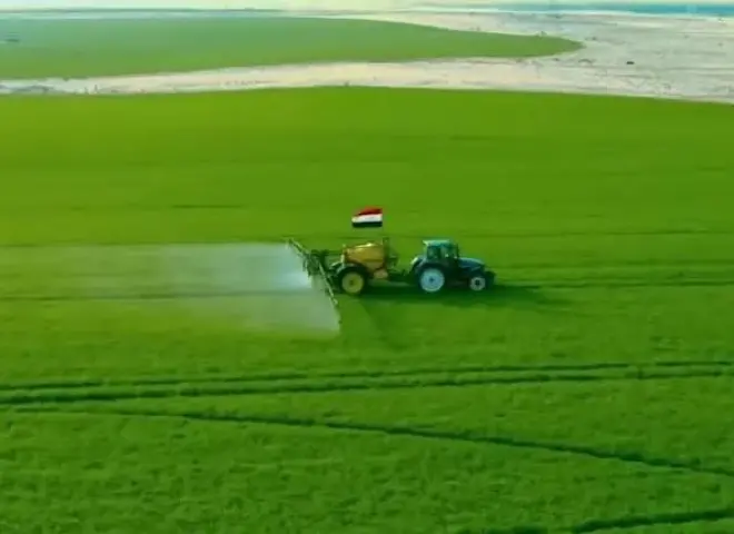 الزراعة: إعادة استخدام المياه وراء التوسع غير المسبوق في مصر