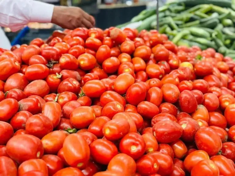 جنون أسعار الطماطم يشعل الأسواق.. والأهالي: الطماطم بقت رفاهية