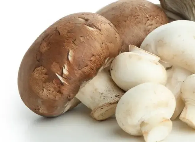 الولايات المتحدة تفرض رسوما تعويضية أولية على صادرات الفطر الكندي