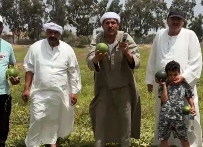 ما قاله الخبراء في أزمة بطيخ زيان وكفر الشيخ