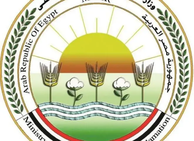 «الزراعة» توضح أسباب الارتفاع المؤقت لأسعار الطماطم وتعلن انفراجة قريبة