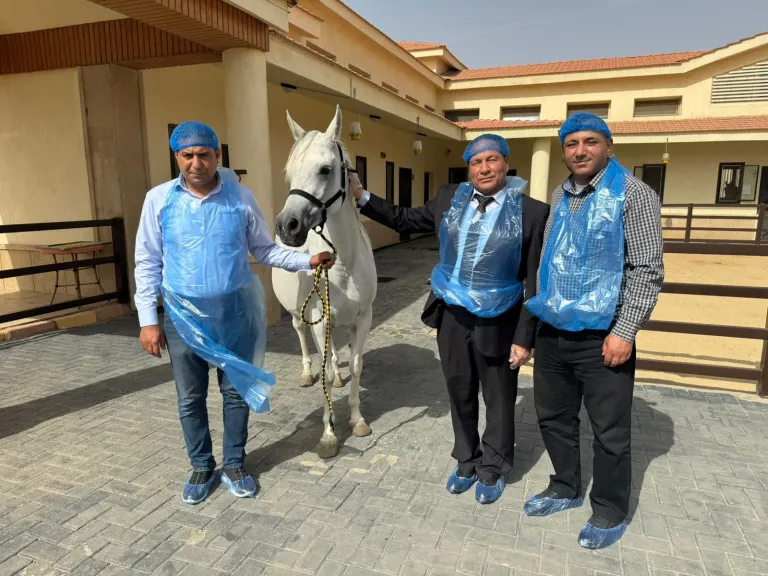 رئيس الحجر الأردني يتفقد إجراءات تصدير الخيول المصرية ويشيد بأداء الجمعية التعاونية