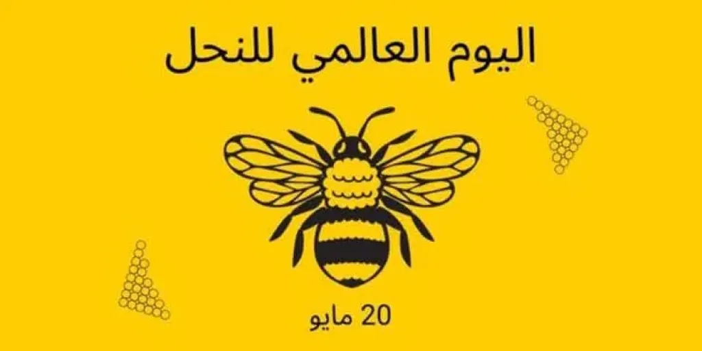 اليوم العالمي للنحل.. تحذيرات من خطر الانقراض وكوارث غذائية محتملة