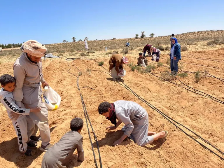 بحوث الصحراء ينفذ حقولاً إرشادية بمطروح لمواجهة التغيرات المناخية