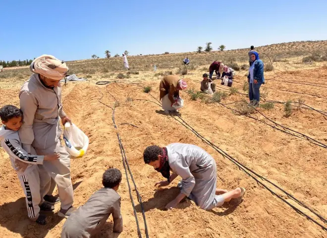بحوث الصحراء ينفذ حقولاً إرشادية بمطروح لمواجهة التغيرات المناخية