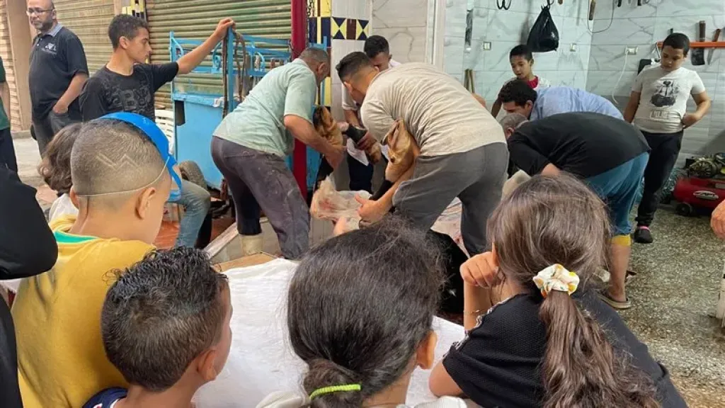 قرار عاجل في الجيزة.. شوادر الأضاحي تحت الرقابة ومنع كامل للذبح بالشوارع