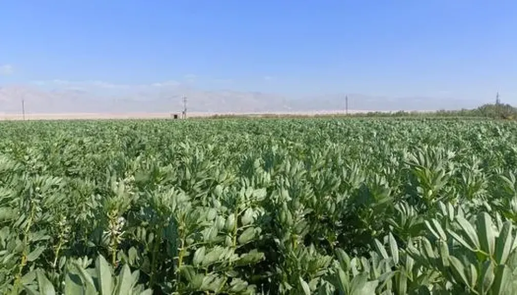 مناخ الزراعة يكشف حالة الطقس خلال الأيام المتبقية على نهاية فصل الربيع