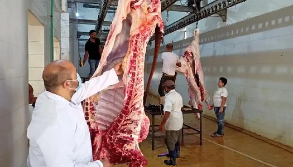 محافظ الشرقية: تطبيق القانون بحسم ضد الذبح خارج المجازر الحكومية