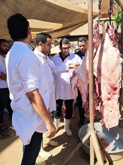 ضبط 60 كيلو لحوم فاسدة قبل طرحها بالأسواق