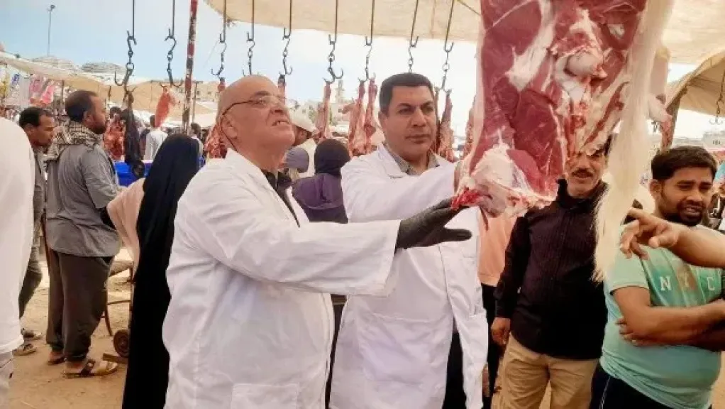 الطب البيطري يرصد مخالفات خطيرة في أسواق اللحوم قبل عيد الأضحى