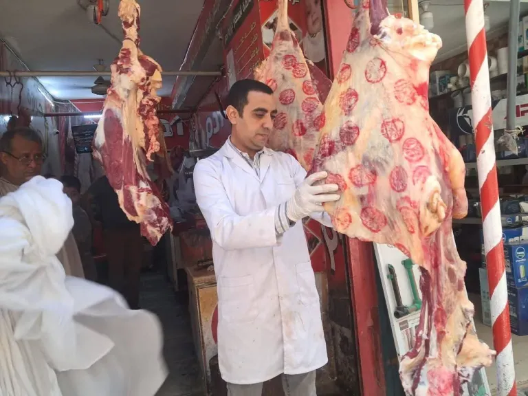 الطب البيطري يكثف حملاته على اللحوم والأسواق قبل عيد الأضحى