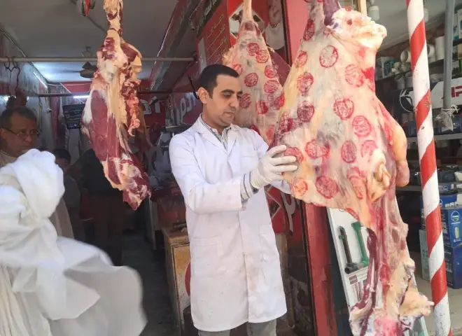الطب البيطري يكثف حملاته على اللحوم والأسواق قبل عيد الأضحى