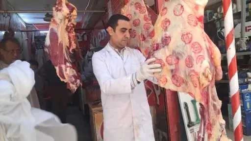 الطب البيطري يكثف حملاته على اللحوم والأسواق قبل عيد الأضحى
