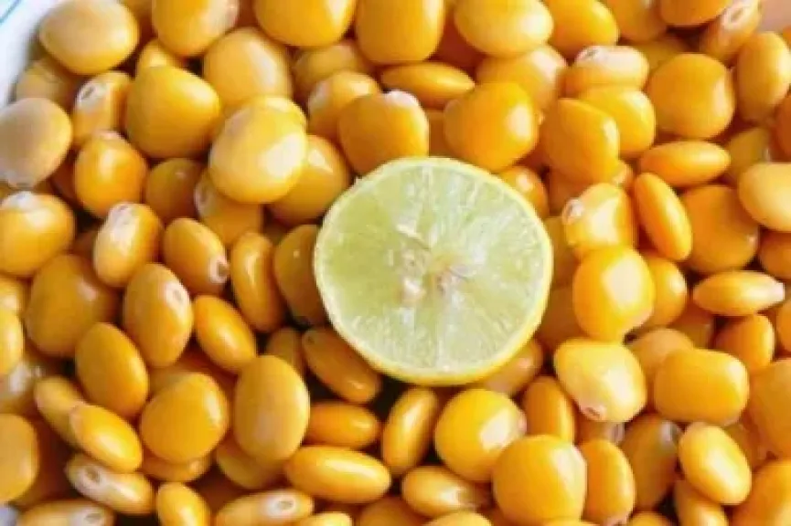 أسباب نقص الترمس في الأسواق قبل عيد الأضحى