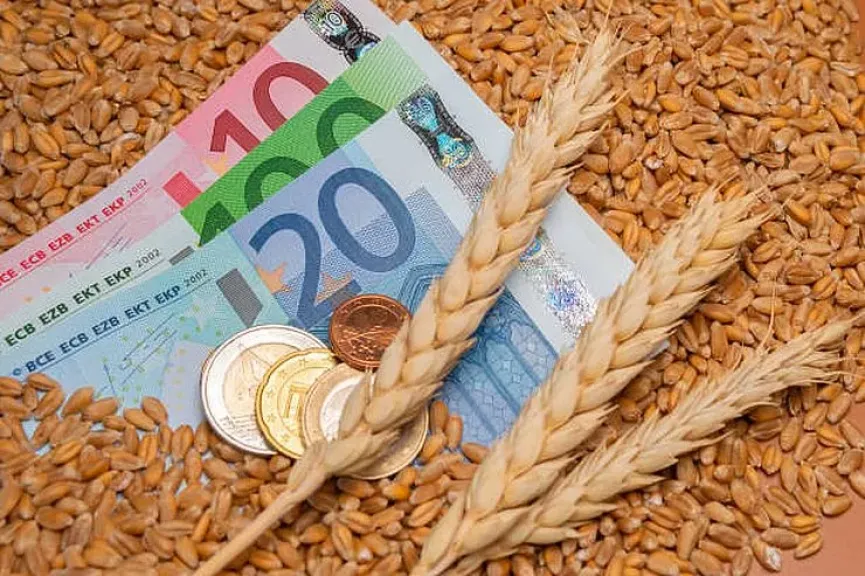 انخفاض أسعار القمح والذرة بداخل بورصة باريس