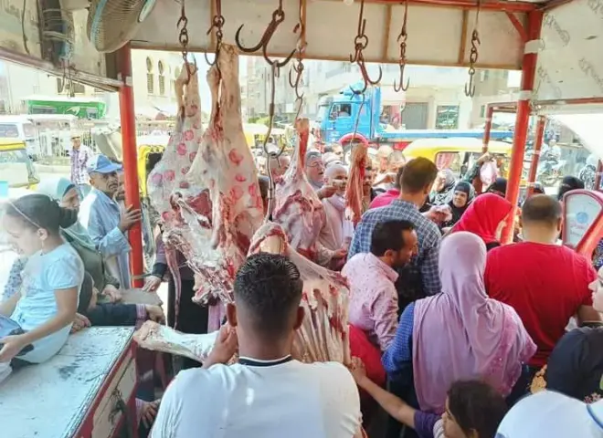 طوارئ بـ«التموين» خلال العيد: ضخ مكثف للحوم واستقرار بالمجمعات