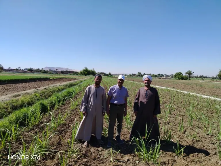 طوارئ في ”مديريات الزراعة” لتقديم الخدمات ودعم المزارعين خلال العيد