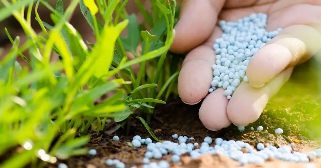 الزراعة تكشف أسباب فقدان الأسمدة داخل التربة