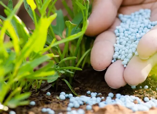 الزراعة تكشف أسباب فقدان الأسمدة داخل التربة