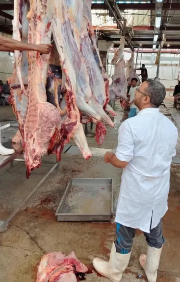 ”الزراعة”: ذبح 7,681 أضحية بالمجازر الحكومية ”مجاناً” بثالث أيام عيد الأضحى