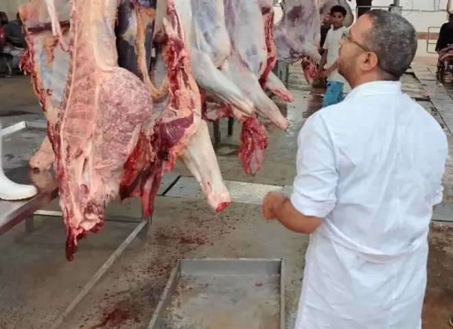 ”الزراعة”: ذبح 7,681 أضحية بالمجازر الحكومية ”مجاناً” بثالث أيام عيد الأضحى