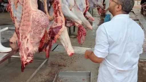 ”الزراعة”: ذبح 7,681 أضحية بالمجازر الحكومية ”مجاناً” بثالث أيام عيد الأضحى