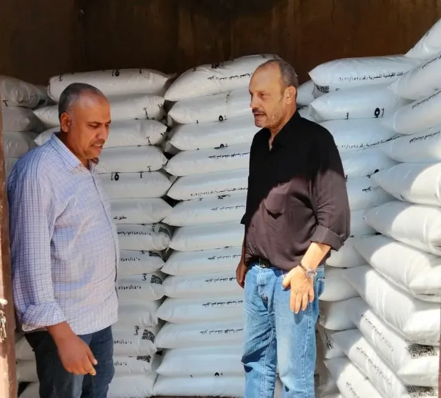 جولات ميدانية مكثفة لرصد آفات المحاصيل ومتابعة صرف الأسمدة بكفر الشيخ
