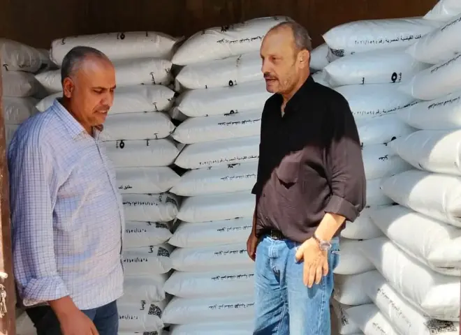 جولات ميدانية مكثفة لرصد آفات المحاصيل ومتابعة صرف الأسمدة بكفر الشيخ
